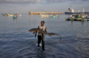 Fishing Sector’s Contribution to Somalia’s Economy