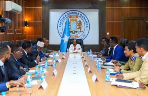 Addressing Agricultural Challenges in Somalia