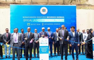 PM Hamza Launches Badmaal to Transform Fishing Industry