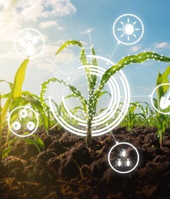 Evaluation Report on Agricultural Support Policy in Somalia Evaluation Report on Agricultural Support Policy in Somalia