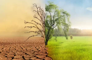 Impact of Climate Change on Agricultural Production in Marodijeh and Gabiley Regions (Somaliland)