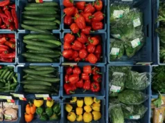 Impact of Imported Vegetables on Somalia’s Agriculture