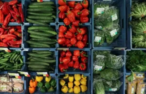 Impact of Imported Vegetables on Somalia’s Agriculture