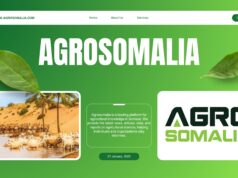 Somalia’s Agribusiness Sector: An Untapped Market
