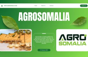 Somalia’s Agribusiness Sector: An Untapped Market