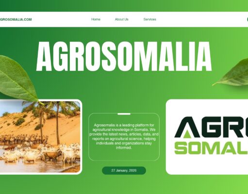 Somalia’s Agribusiness Sector: An Untapped Market
