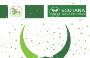 Regional Integration for Agricultural Resilience: The Greenlife–Ecotana Partnership